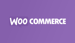 Look over the stories, plugins, and page speed results of 14 big companies using WooCommerce.