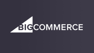 Why wait? See 14 BigCommerce website examples with brands’ stories and page speed results.
