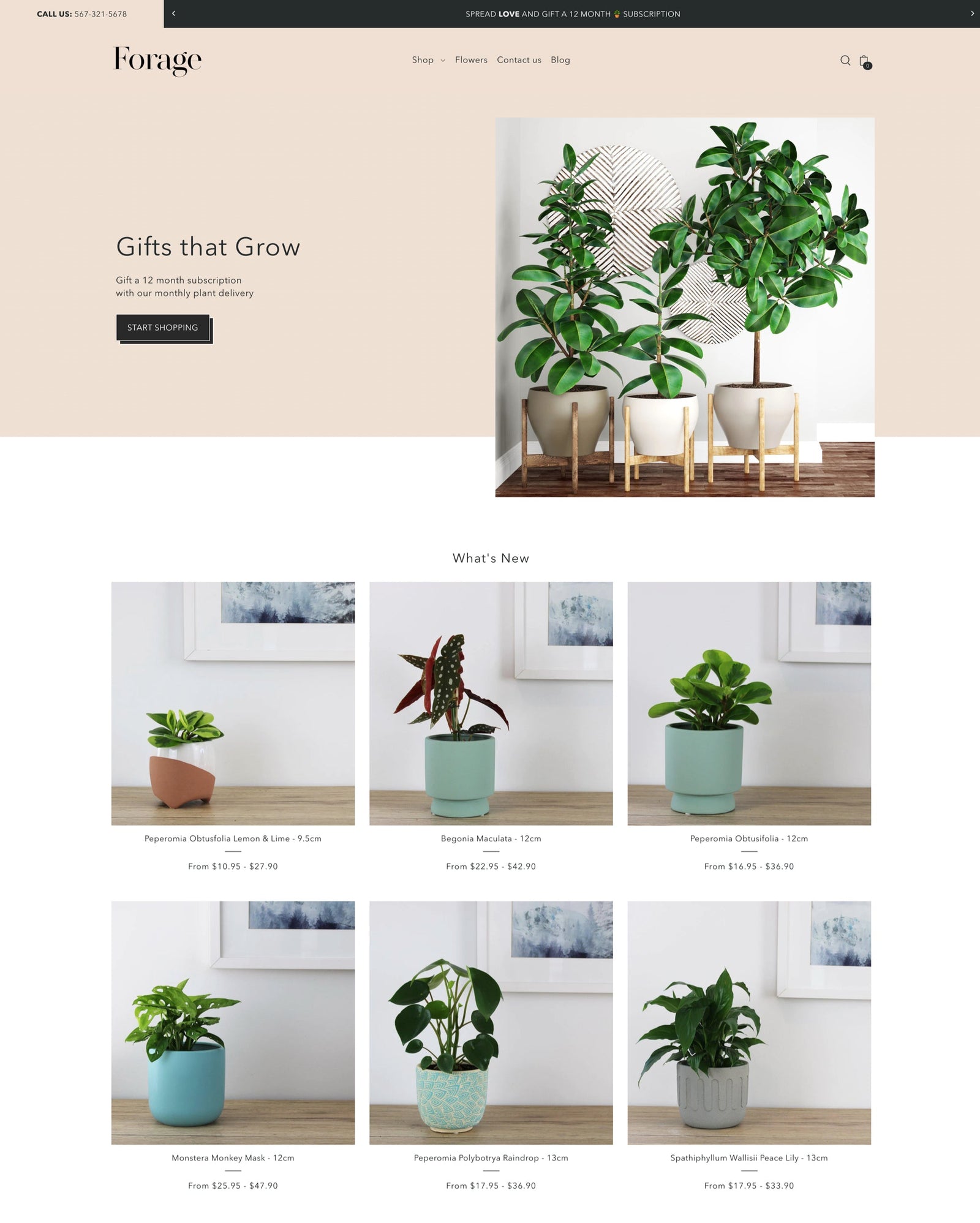 Grow