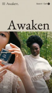 Awaken