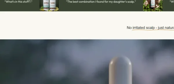 Bea's Bayou Skincare