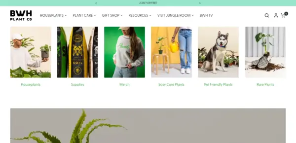 BWH Plant Co