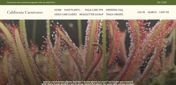California Carnivores