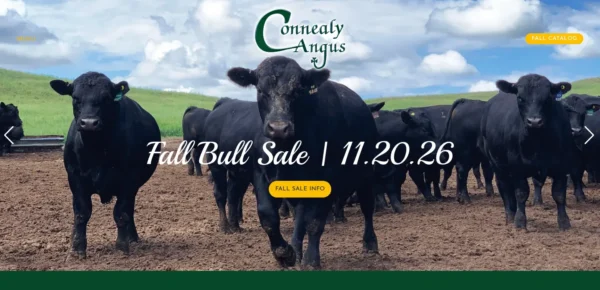 Connealy Angus