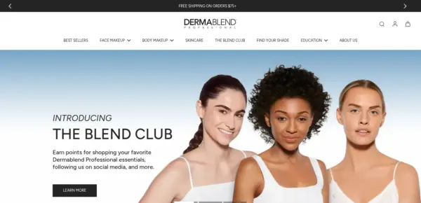Dermablend Professional