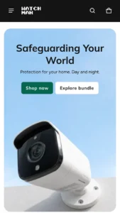 Surveillance