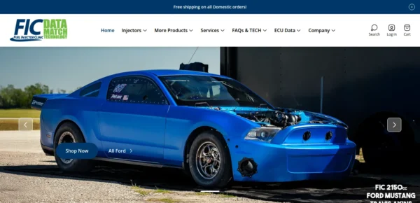 Fuel Injector Clinic