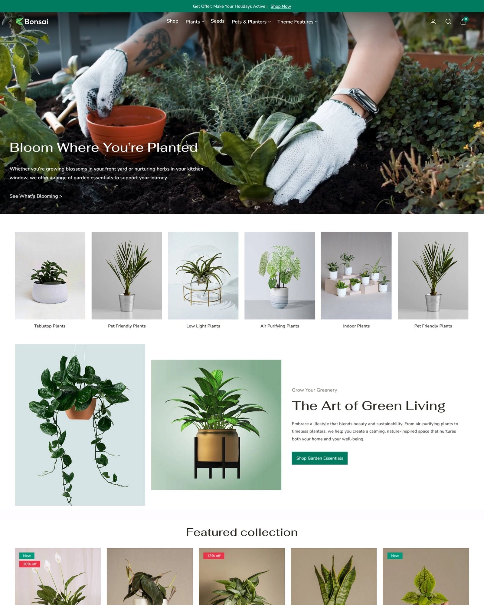 Bonsai