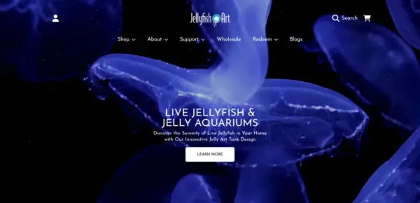 Jellyfish Art
