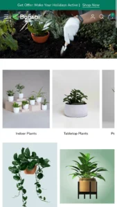 Bonsai