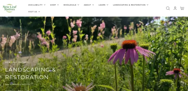 Wholesale Native Plants