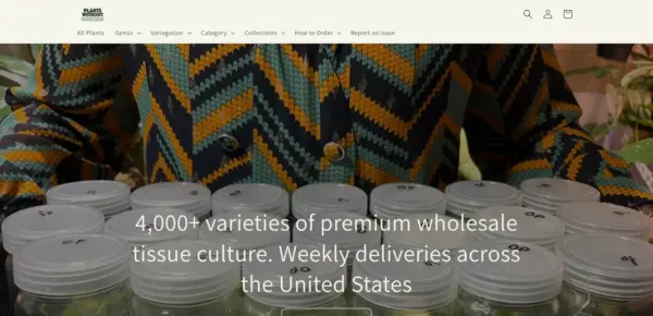 Plants Without Borders Wholesale Tissue Culture