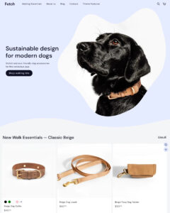 Fetch