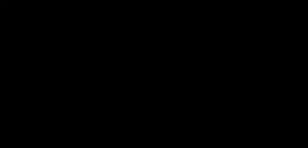 RESTOMODLABS